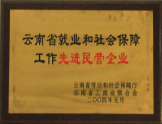 2004年被云南省工商聯(lián)合會(huì)授予“先進(jìn)民營企業(yè)稱號(hào)”